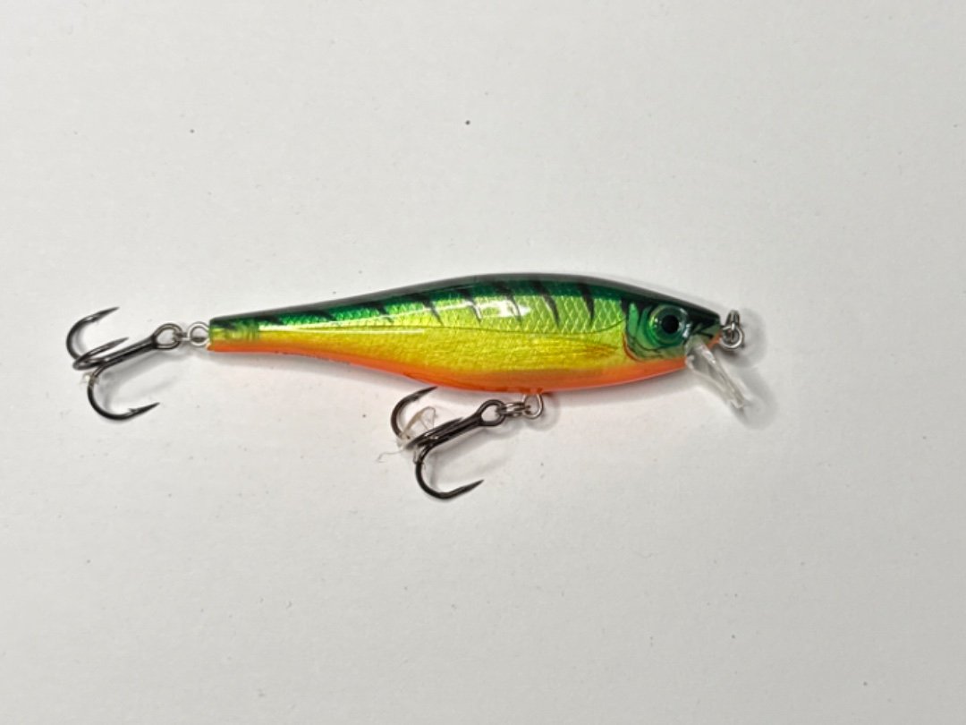 BX Minnow