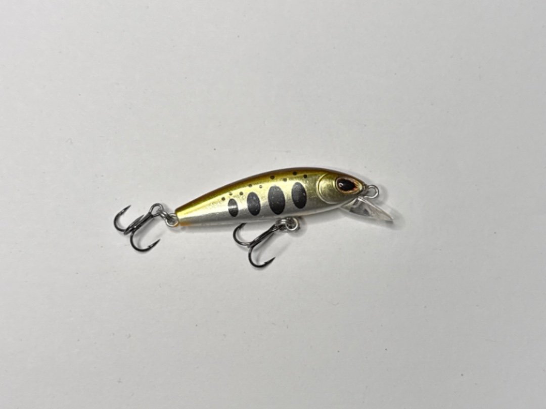 Spearhead Ryuki 50S (oder 50F, je nach Auftrieb)
