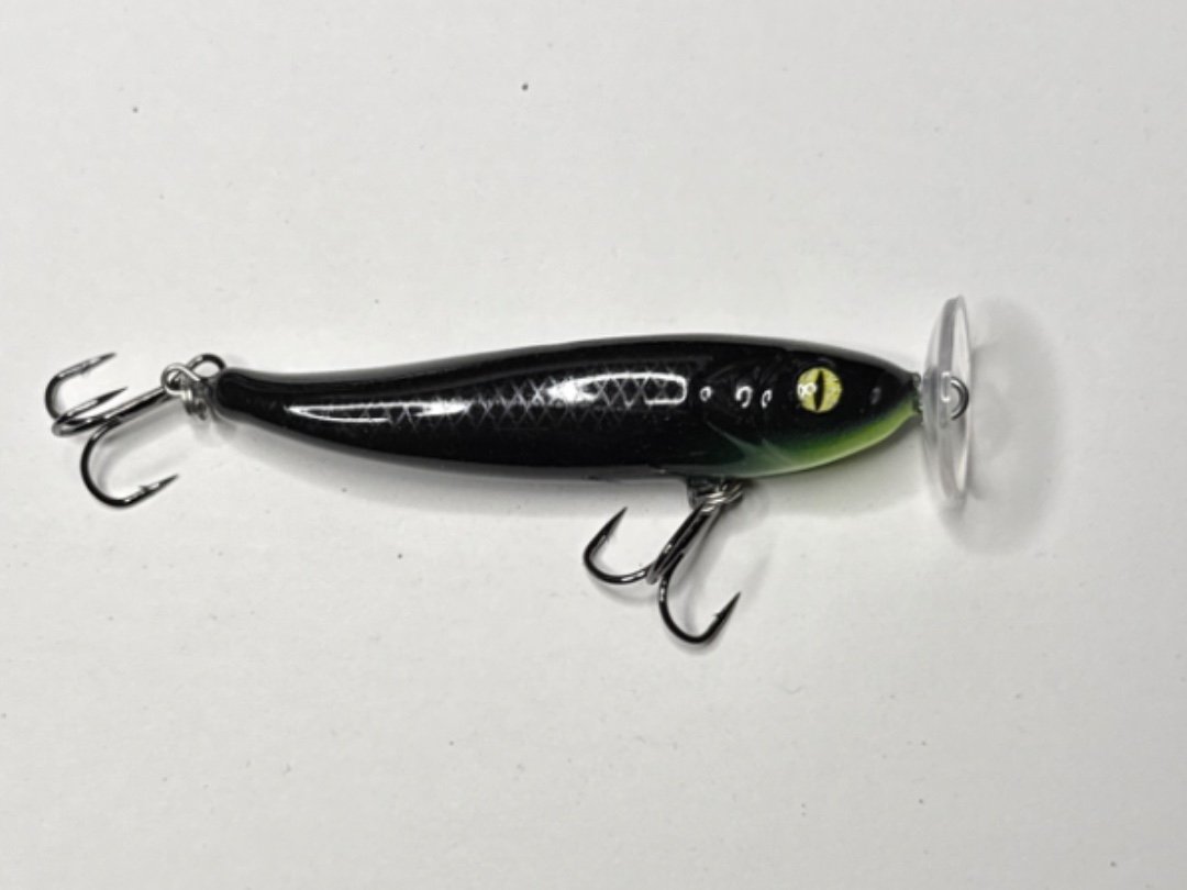 Shirasu Combi Top Water