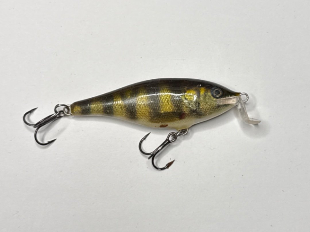 Shallow Shad Rap